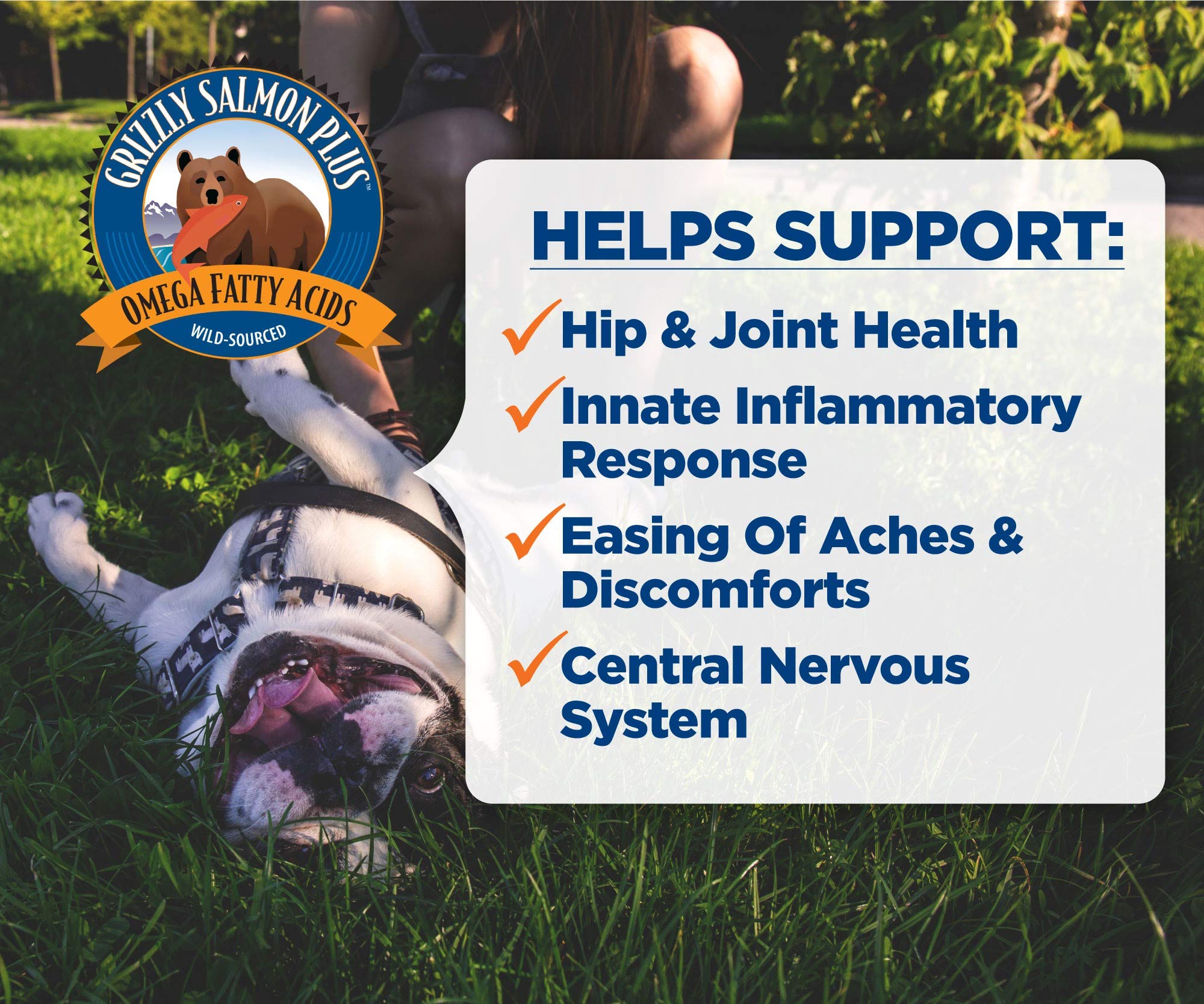 Grizzly Salmon Plus ingredients graphic highlights Wild Alaskan salmon and essential fatty acids.