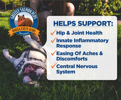 Grizzly Salmon Plus ingredients graphic highlights Wild Alaskan salmon and essential fatty acids.