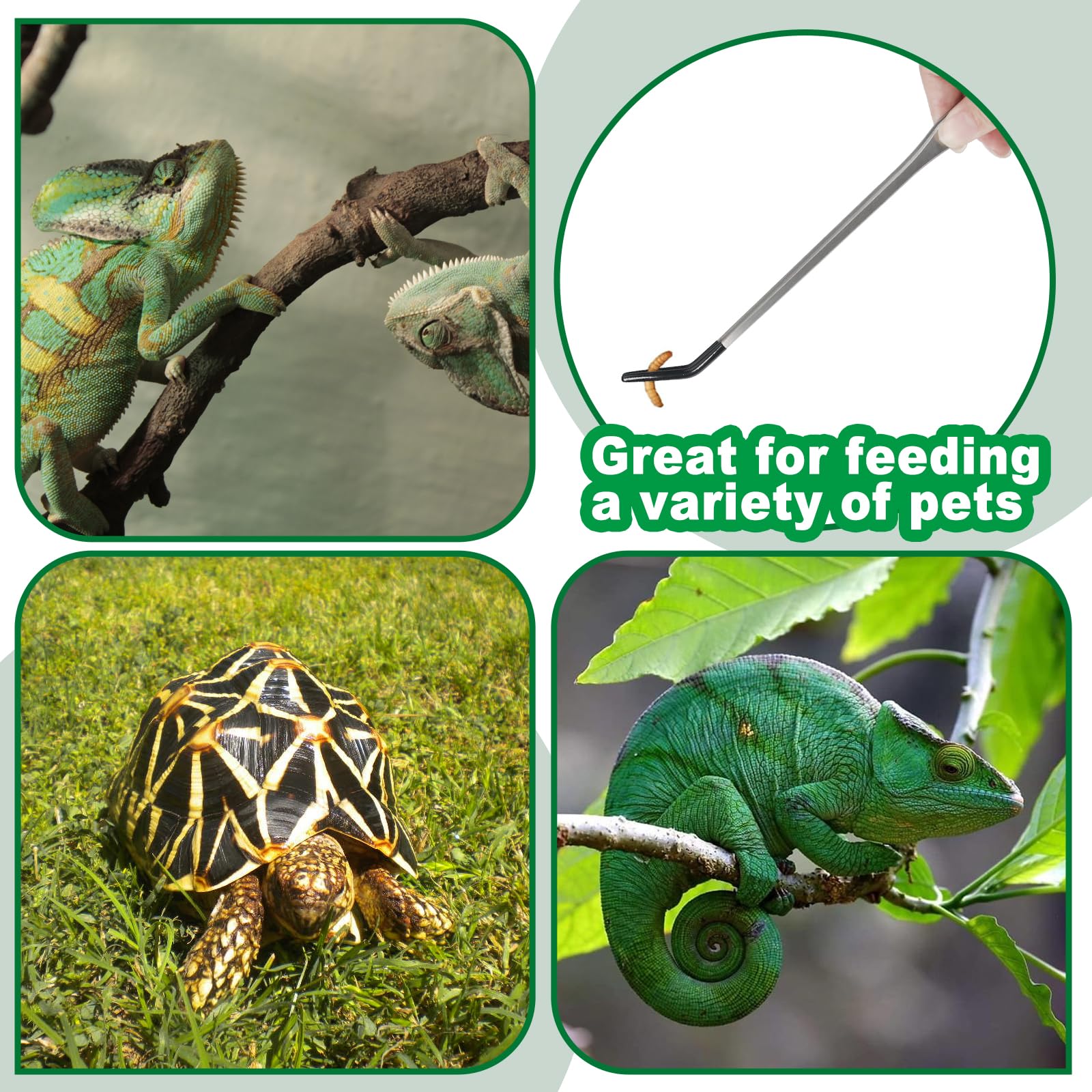 Grngven reptile feeding tongs terrarium and aquascape tool for versatile tasks