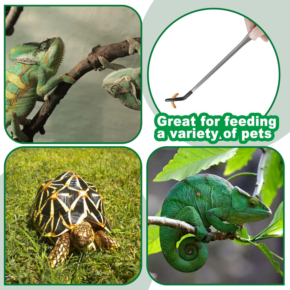 Grngven reptile feeding tongs terrarium and aquascape tool for versatile tasks