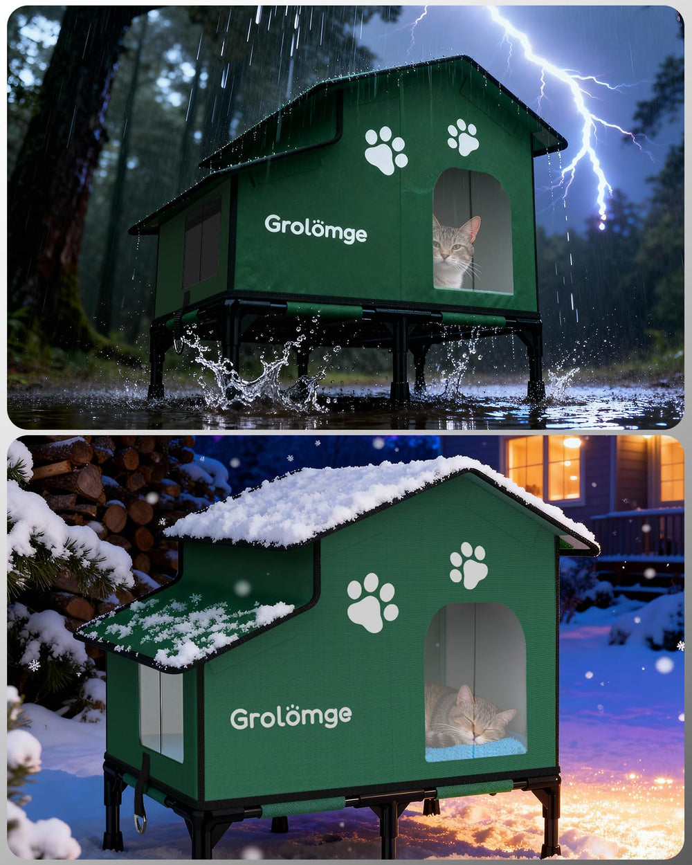 Grolomge multi-cat interior provides spacious warm refuge