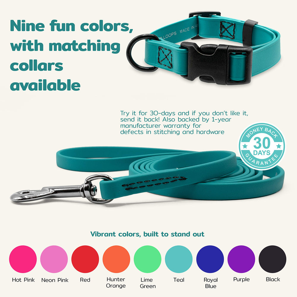 GROOMERSPRO Jelly Pet Leash teal therapy-dogs-friendly option for on-the-go routines.
