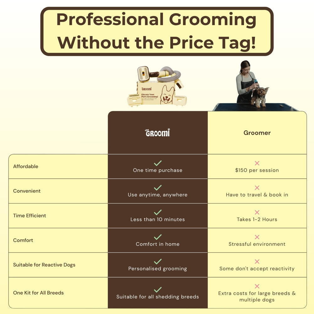 The Groomi cat fur removal brush captures gentle grooming for sensitive pets.