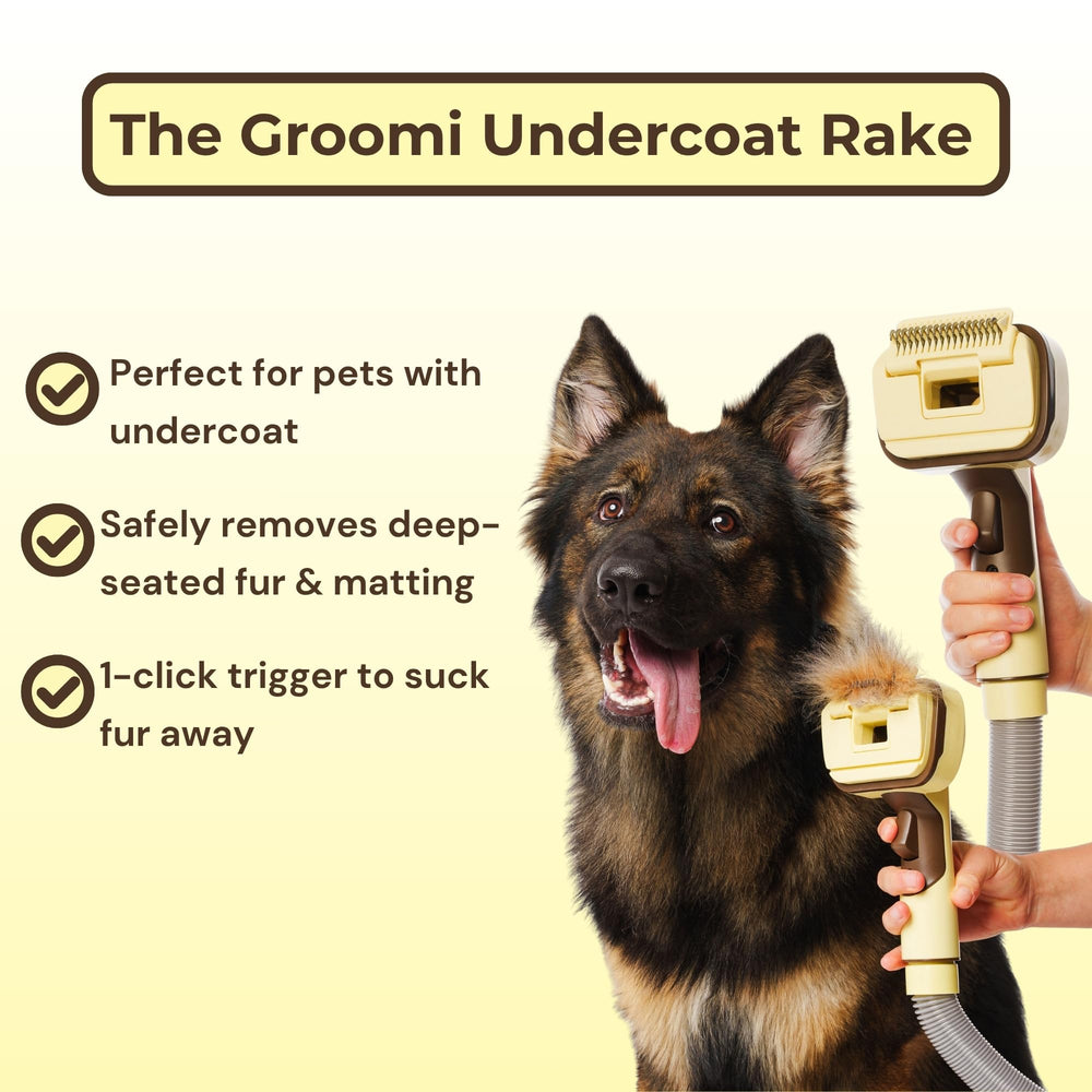 The Groomi dog deshedding brush focuses on reducing loose fur during sessions.