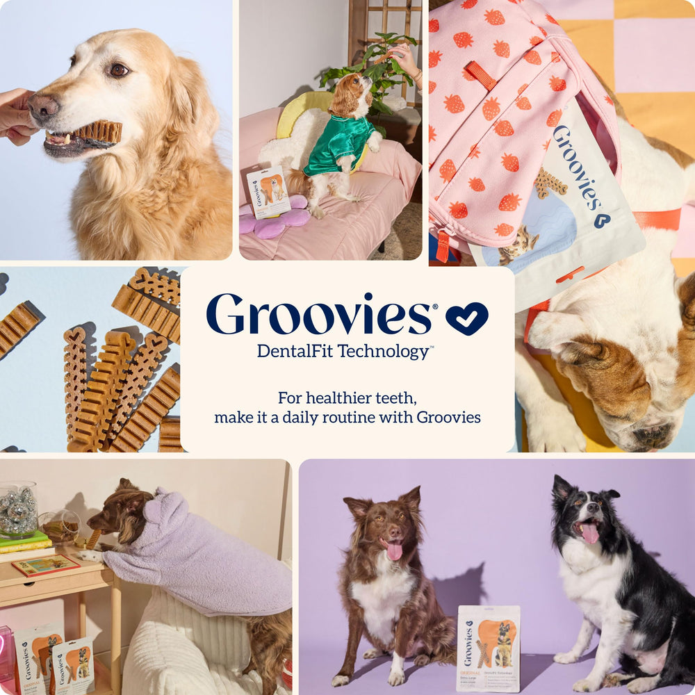 Groovies daily chew time scene suggests routine dental care fits into day.