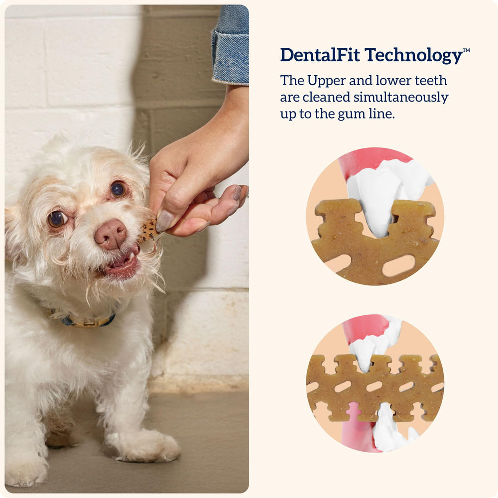 Groovies gluten-free ingredients emphasize a simple, safe daily chew for dogs.