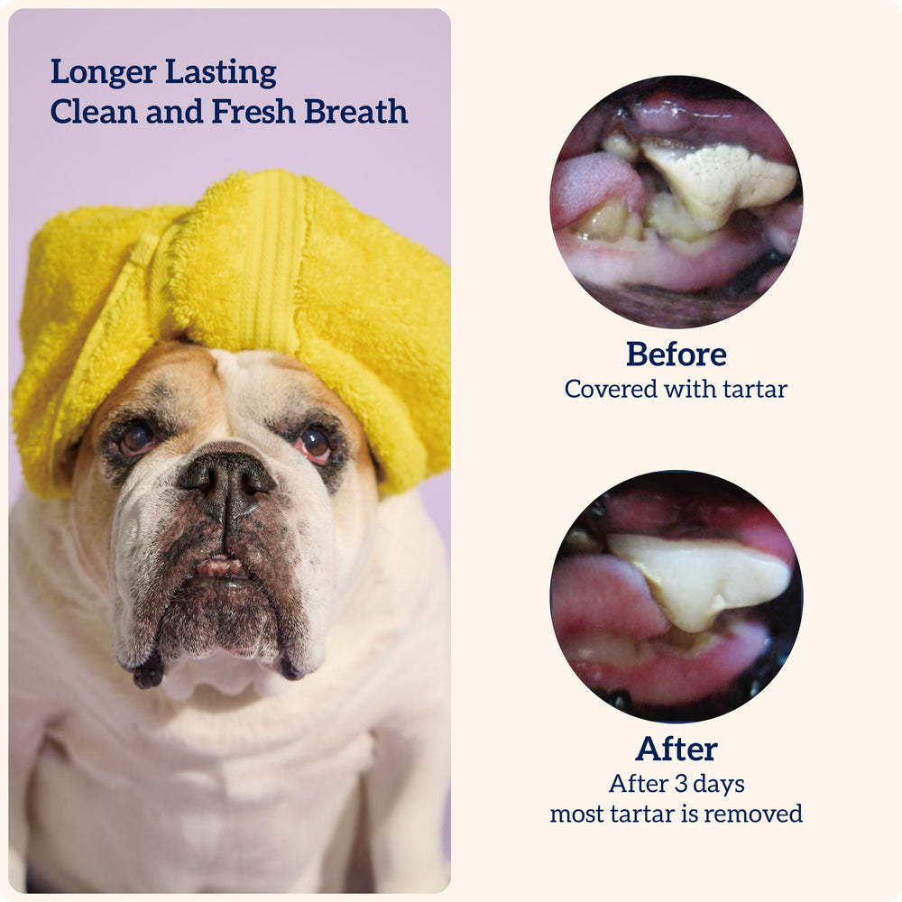 Groovies glutenfree ingredients label illustrates simple, safe recipe for daily dental care.