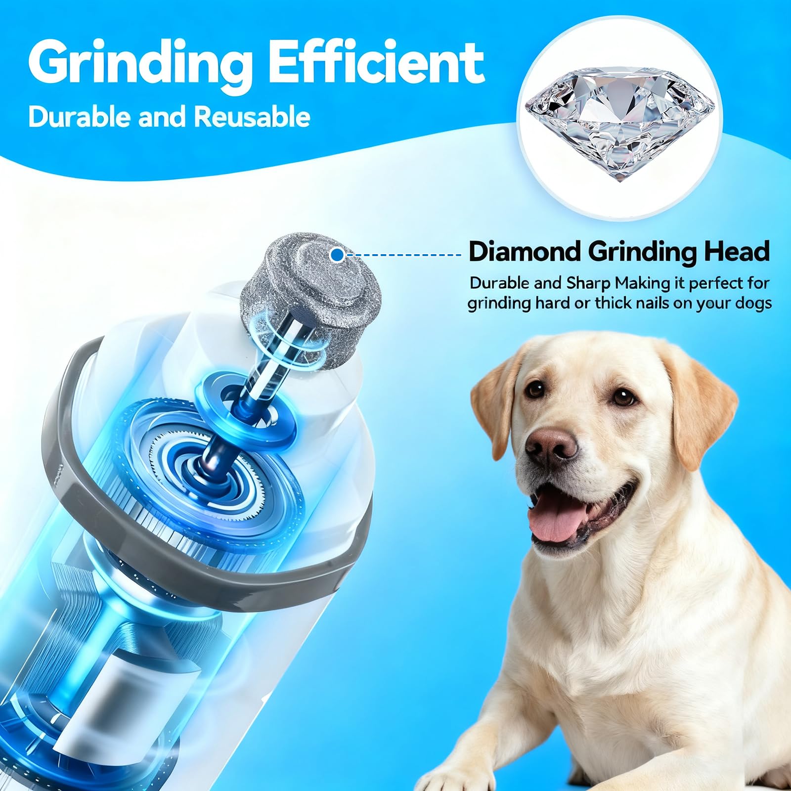 GROTOLY Silent Groom Pro diamond drum grinder detail for precise trimming