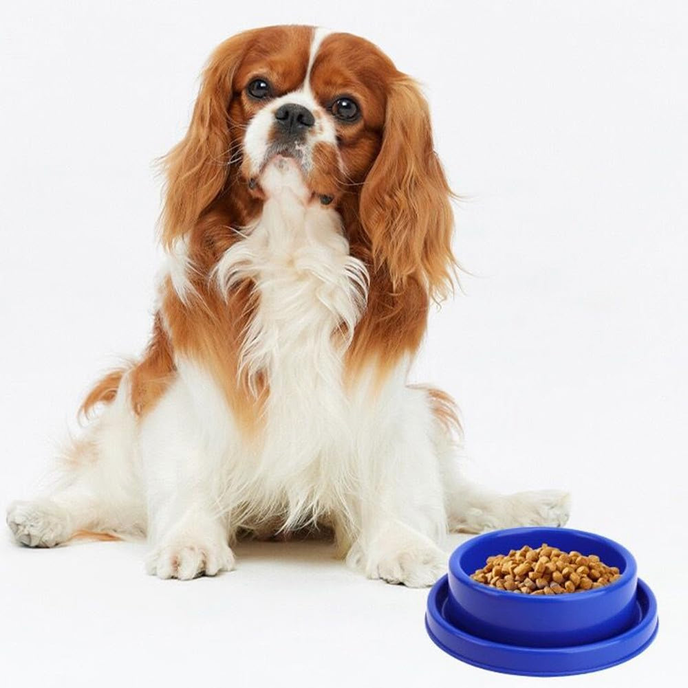 GRPET Ants Away round bowl is easy to clean after feeding.
