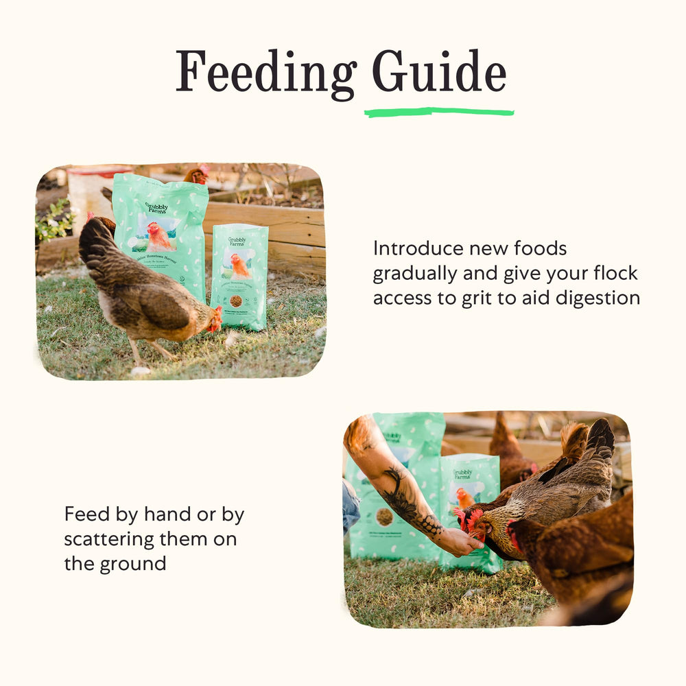 5-pound Grubblies hometown harvest packaging ready for flock feeding