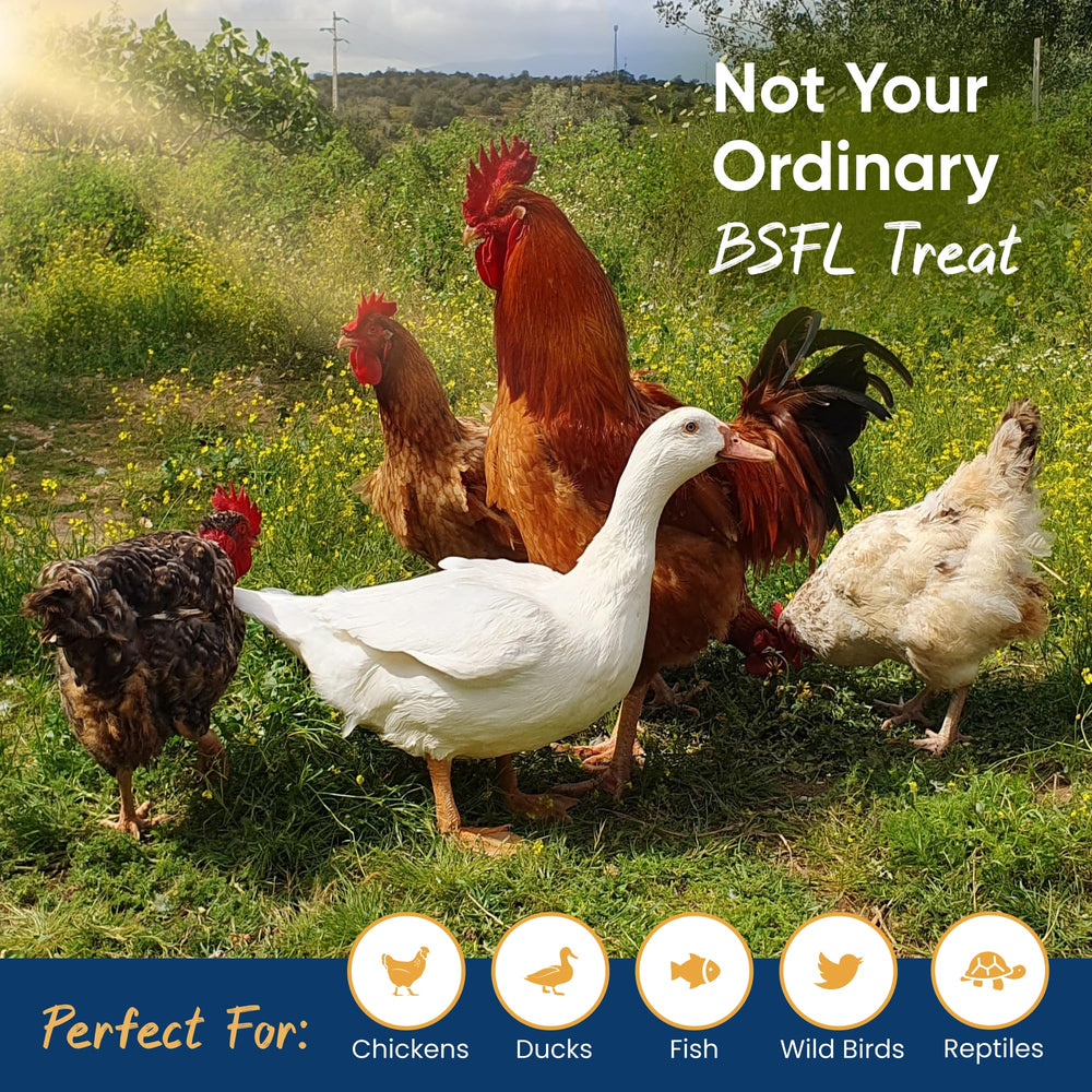 Grubs Delight resealable inner bag preserves freshness and long shelf life.