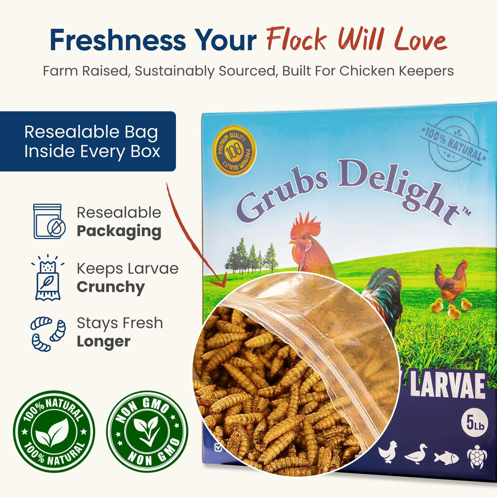 Grubs Delight sustainability-focused packaging with traceable sourcing for eco-conscious keepers.