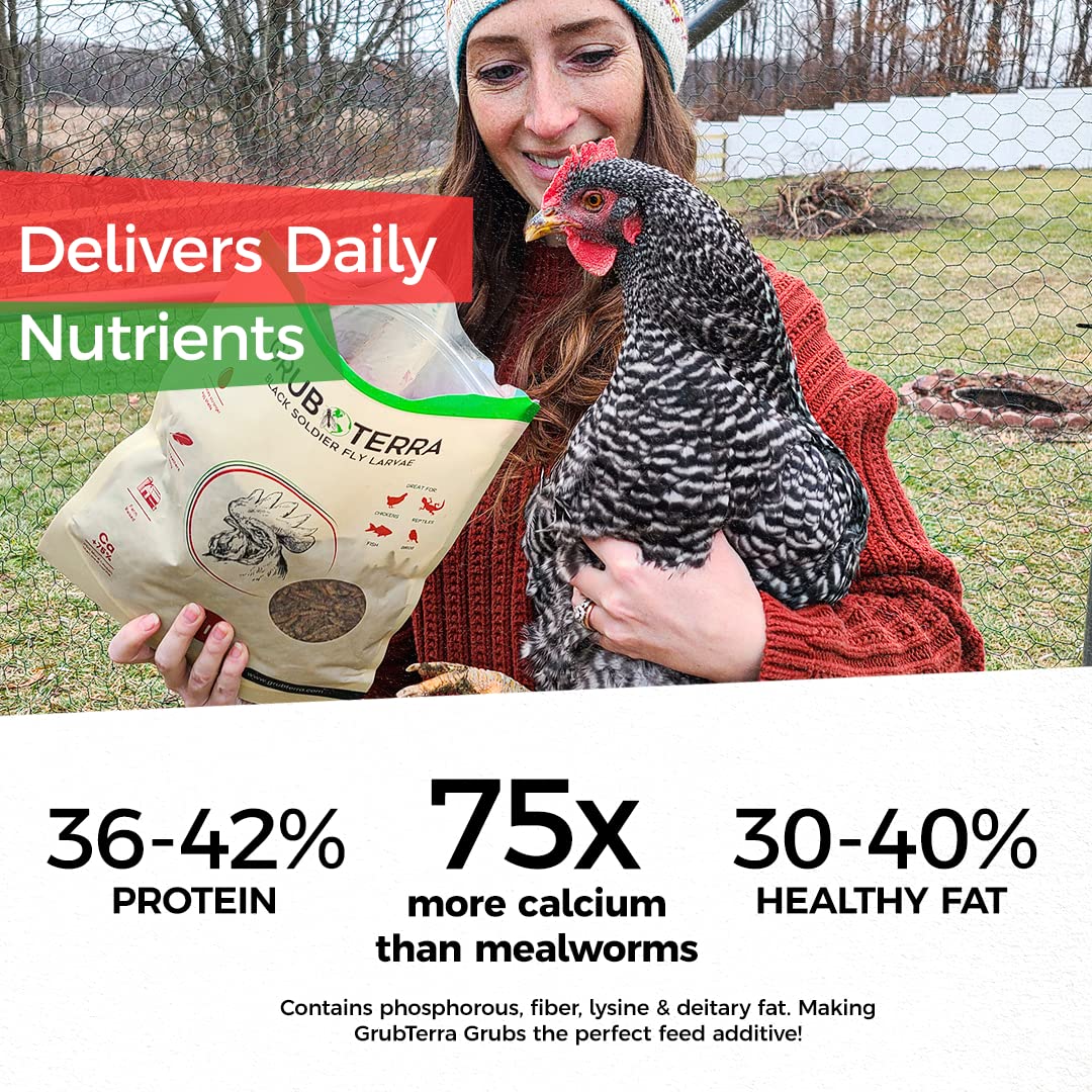 GrubTerra Golden Dried BSFL larvae with pet birds suggests versatile feeding options