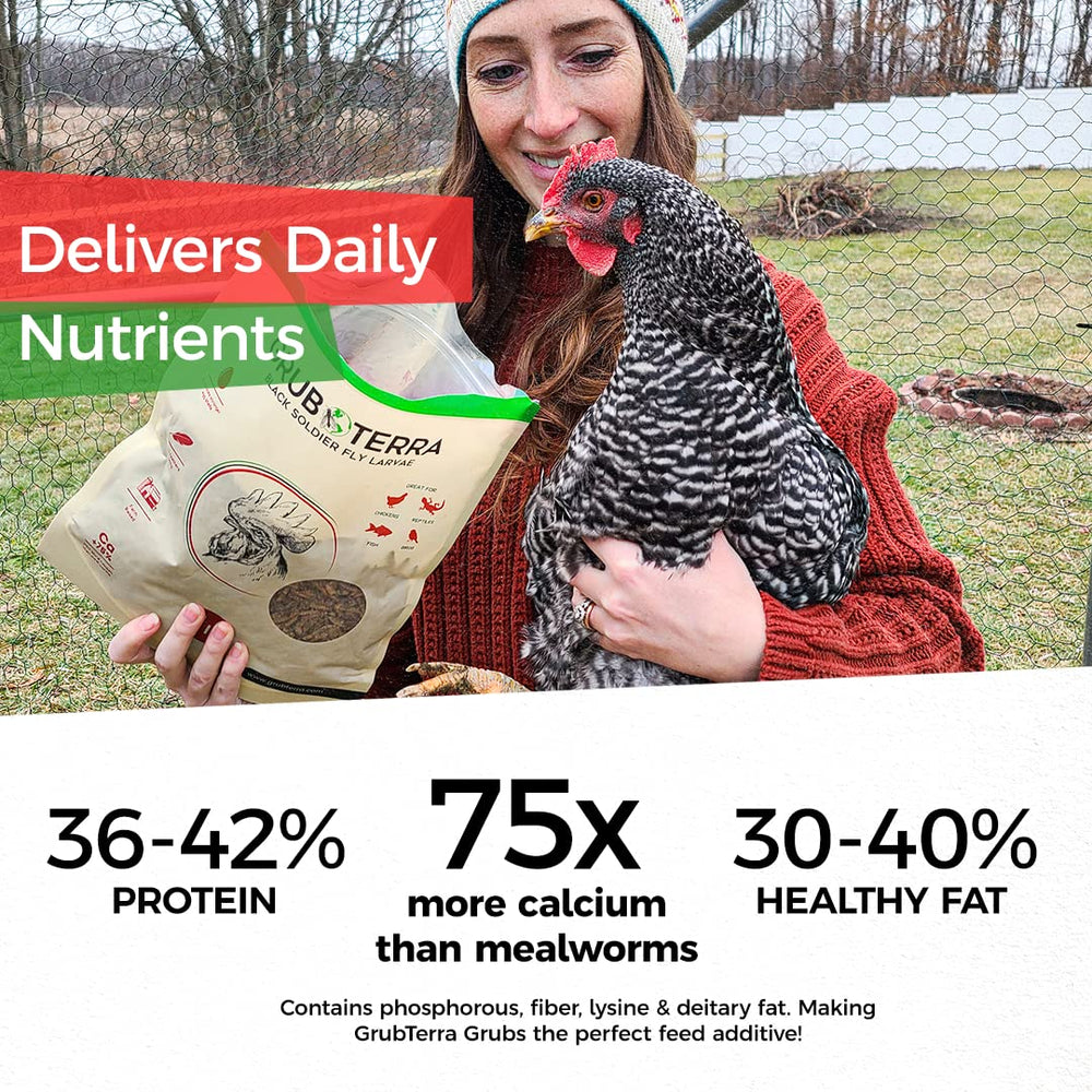 GrubTerra Golden Dried BSFL larvae with pet birds suggests versatile feeding options