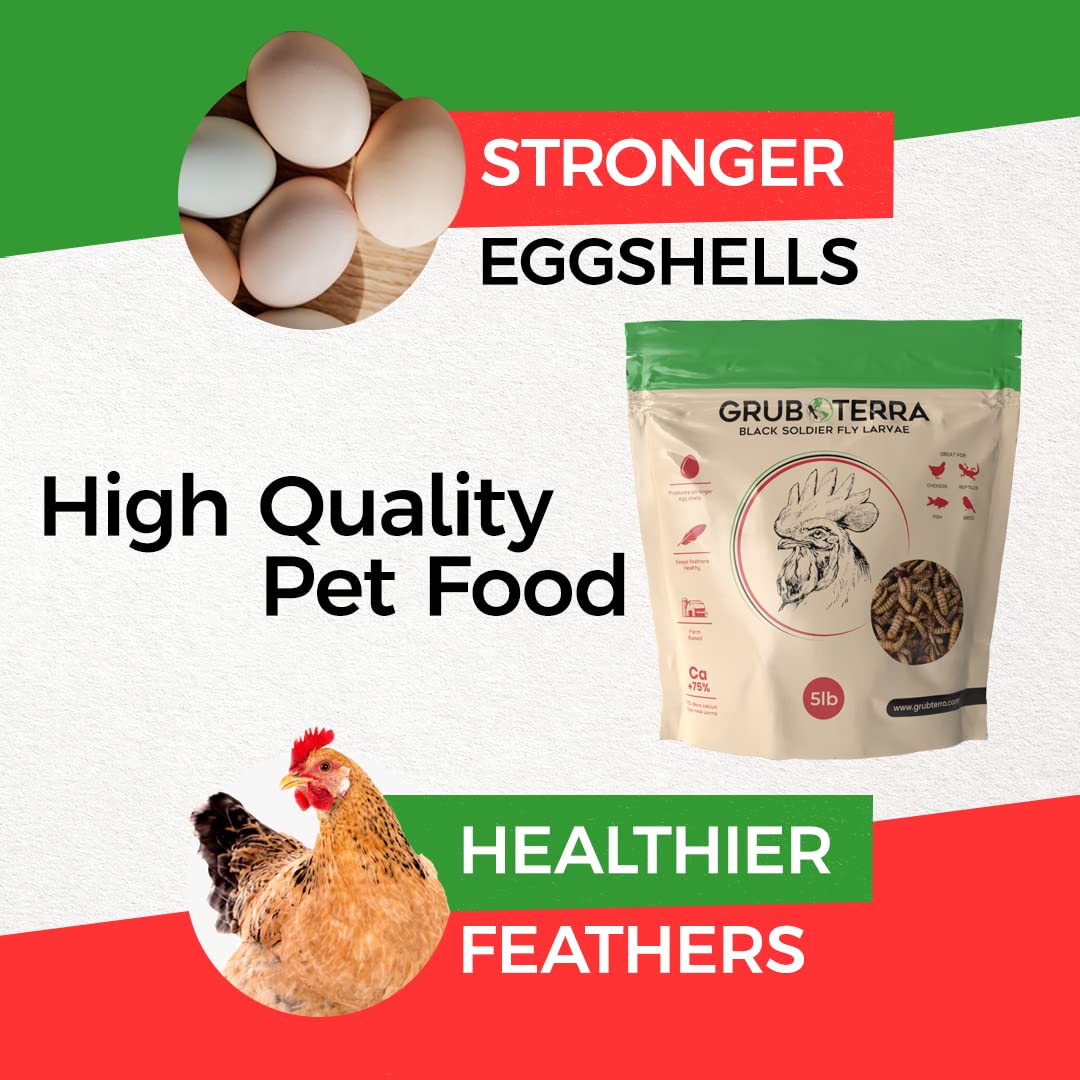 GrubTerra Golden Dried BSFL larvae close-up shells highlight nutrient density
