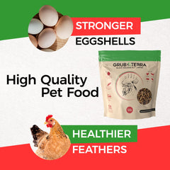 GrubTerra Golden Dried BSFL larvae close-up shells highlight nutrient density