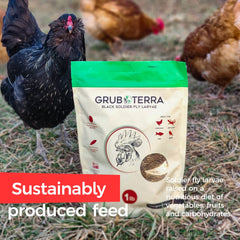 GrubTerra Golden Dried BSFL larvae in coop demonstrates convenient, calcium-rich feed for hens