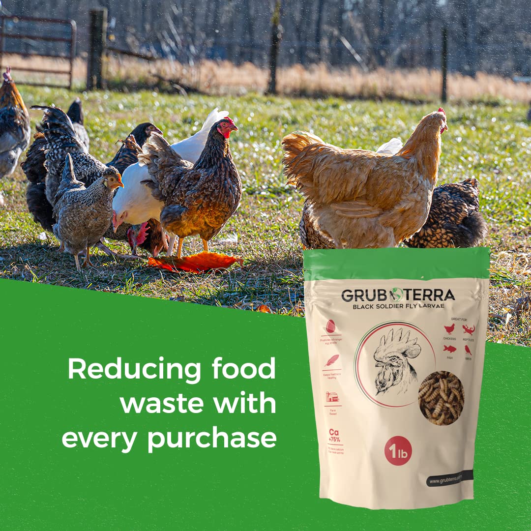 GrubTerra Golden Dried BSFL larvae nutrient panel emphasizes calcium and protein content