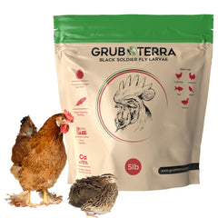 GrubTerra Golden Dried BSFL larvae pack shot highlights high-protein poultry snack for flocks