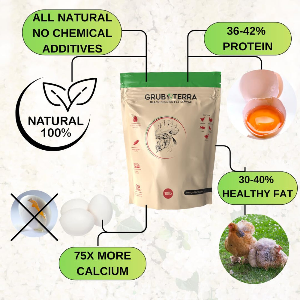 GrubTerra Golden Dried BSFL larvae spread on feed shows simple sprinkling option