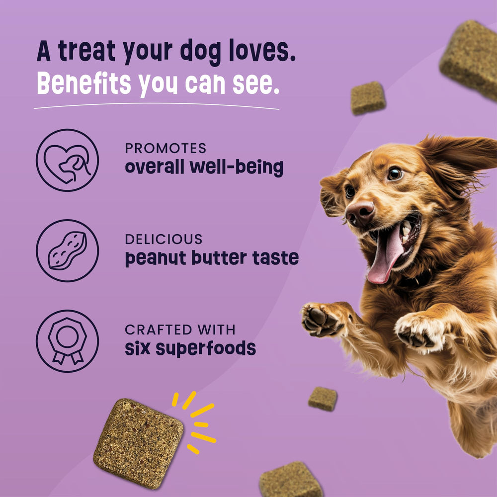 Gruffies training-soft dog treats close-up showing soft texture suitable for puppies and seniors.