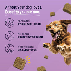 Gruffies training-soft dog treats close-up showing soft texture suitable for puppies and seniors.