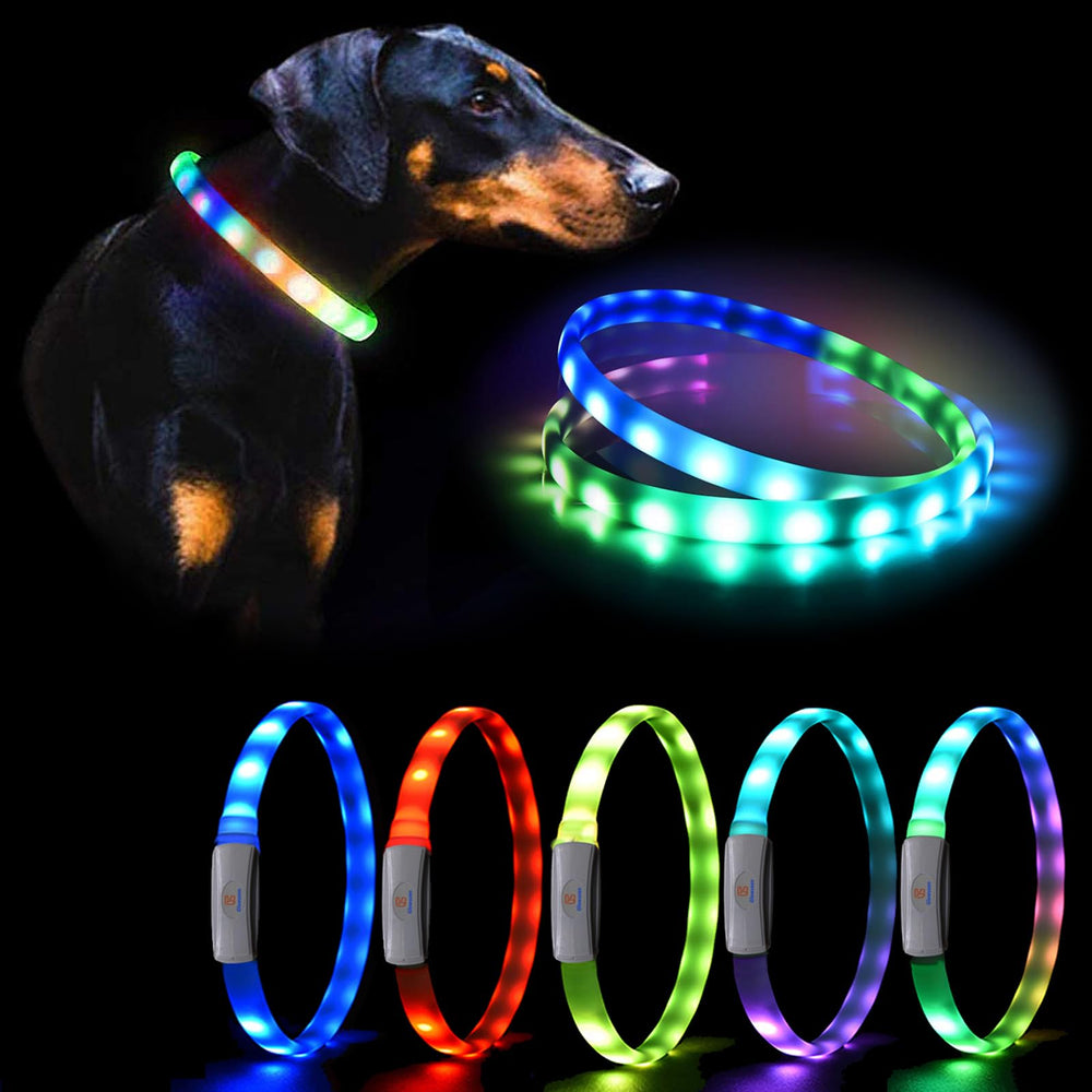 GS GLOWSEEN LED dog collar front-lit for high night visibility.