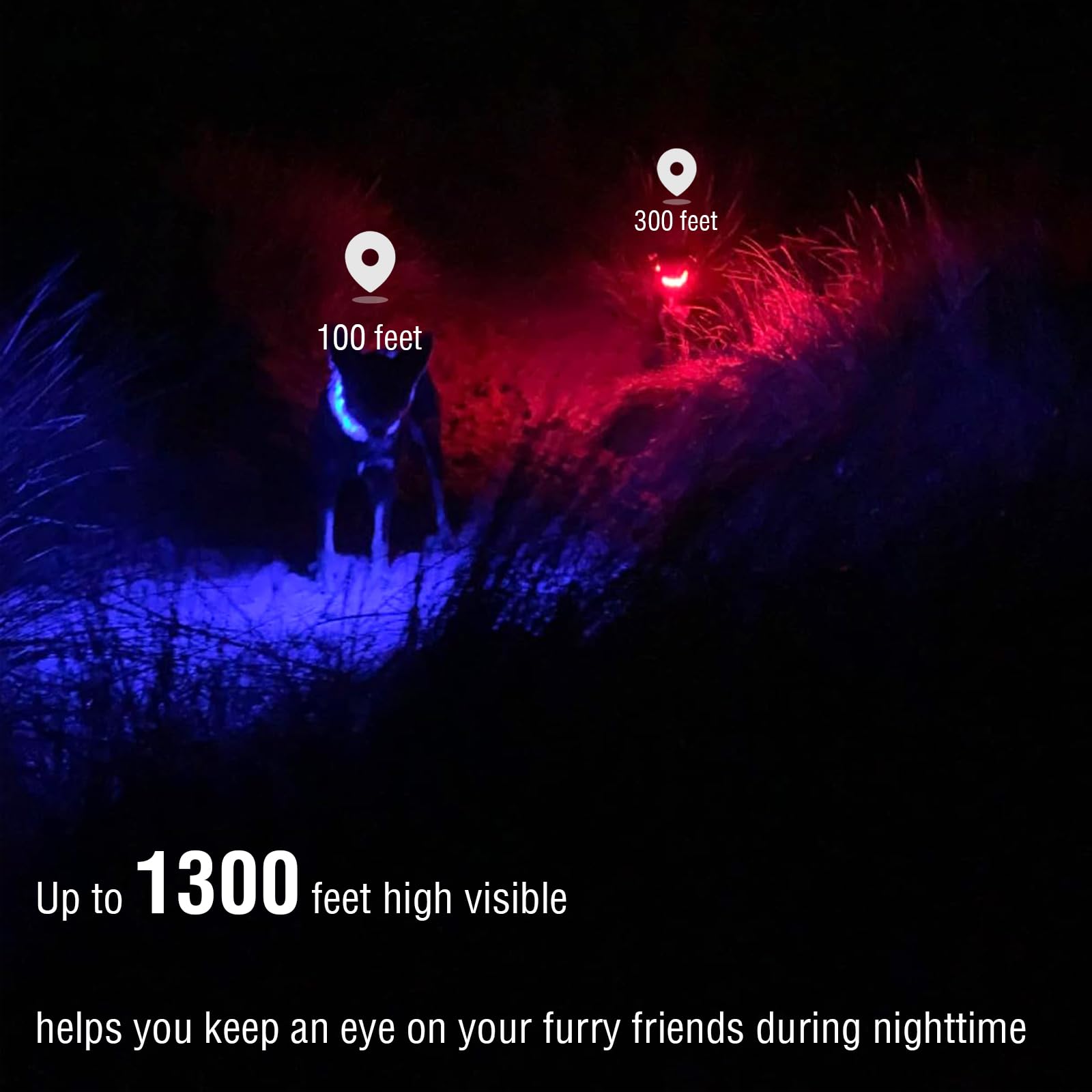 GS GLOWSEEN LED dog collar shown at night for improved visibility during walks