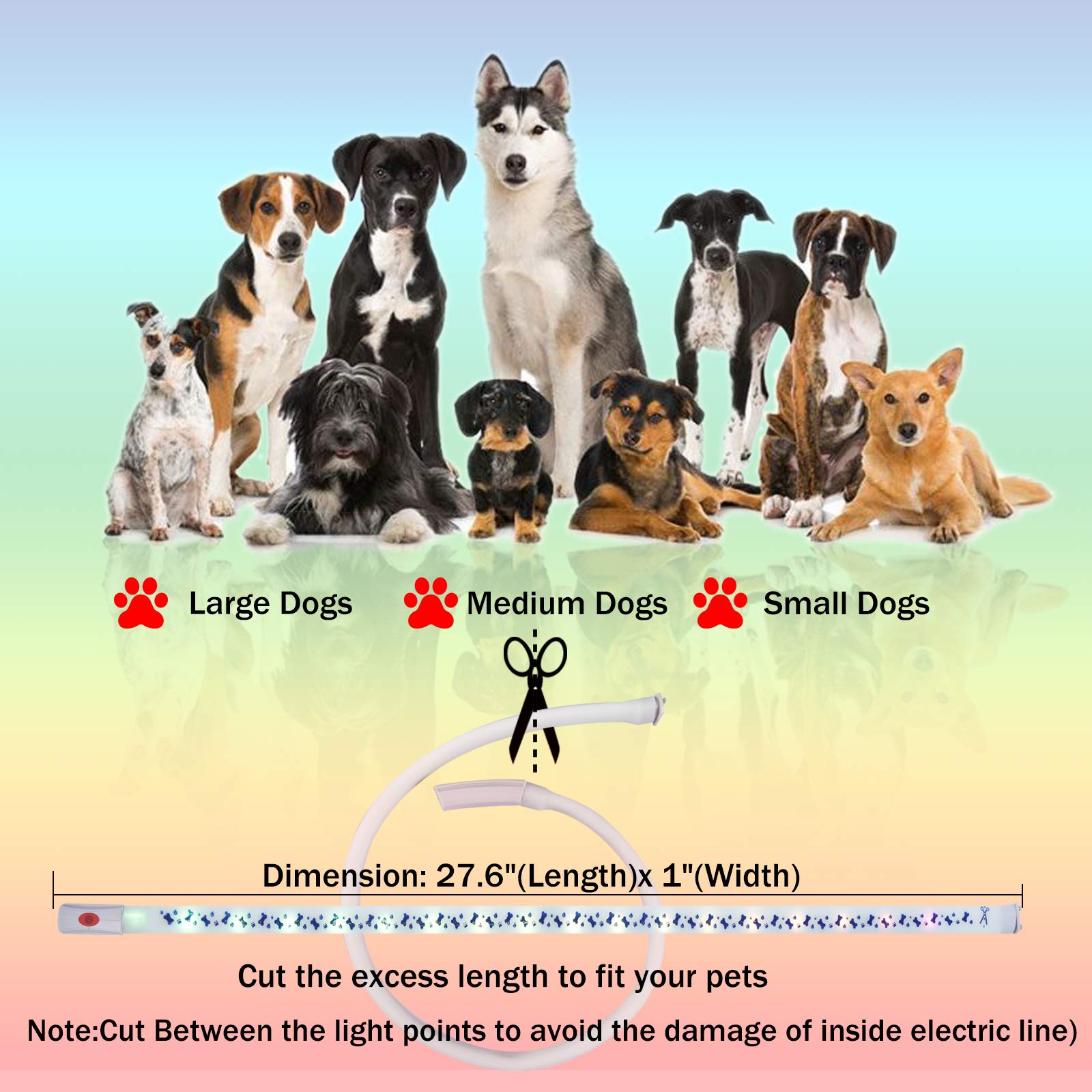 GS GLOWSEEN LED dog collar kit includes USB cable and manual
