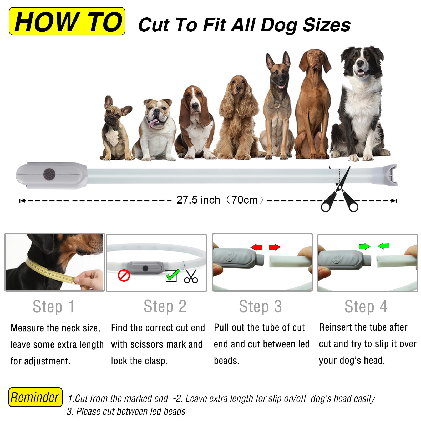 GS GLOWSEEN rainproof LED dog collar usable in wet weather