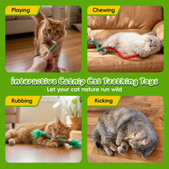 GBSYU interactive catnip toys for indoor cats in a cozy play session