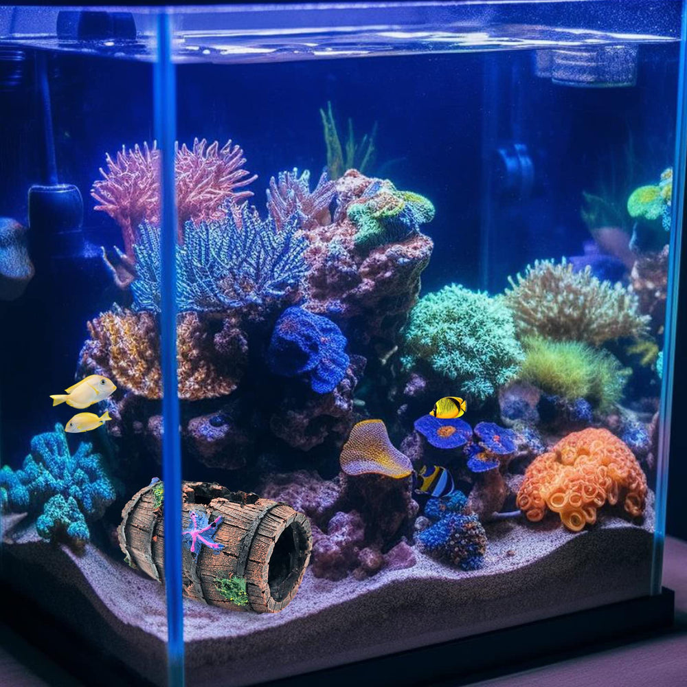 GSD betta tank setup shows easy arrangement with coral and plants.