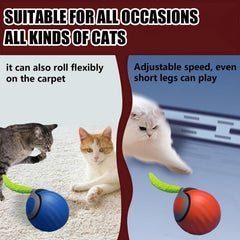 GSHLGAO cat toy tail movement closeup stimulates natural hunting behavior