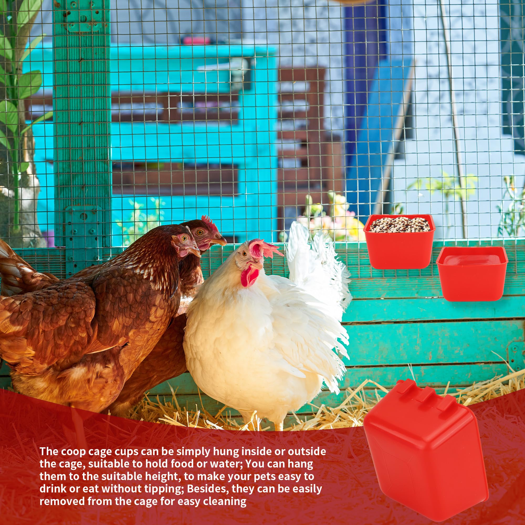 GSHYMXT bright-red cups attract parrots and small pets to feed