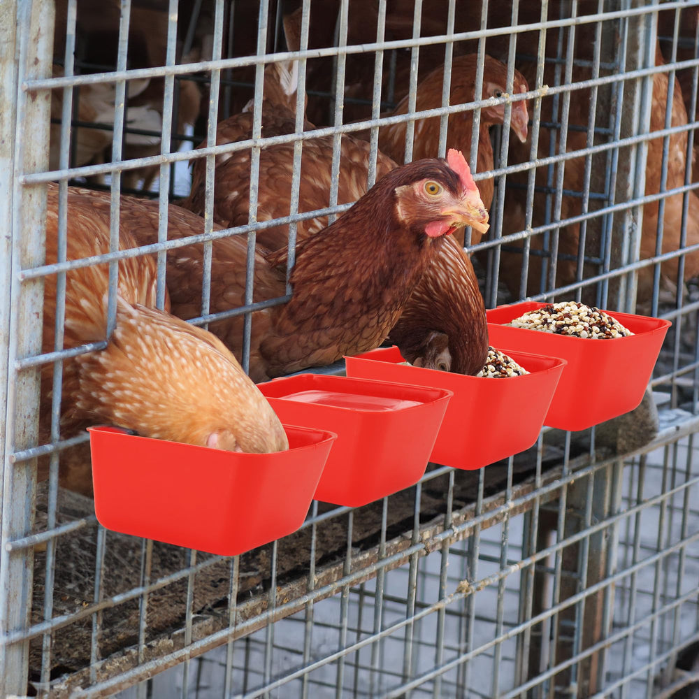 GSHYMXT ready-for-multi-pet poultry setup keeps feeding organized