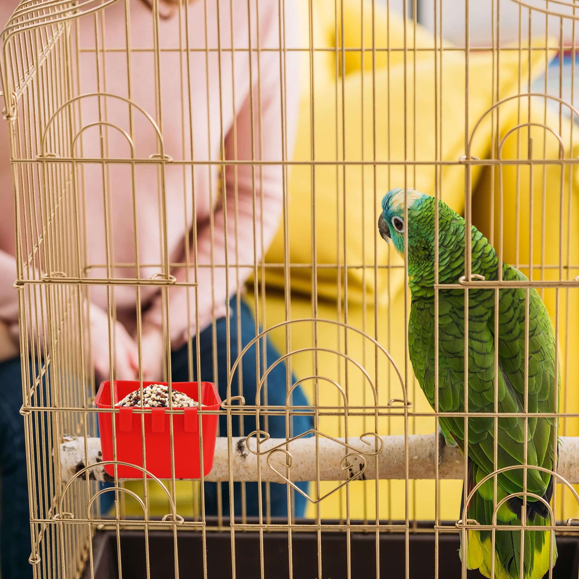 GSHYMXT cage cups with smooth-edges protect birds during handling