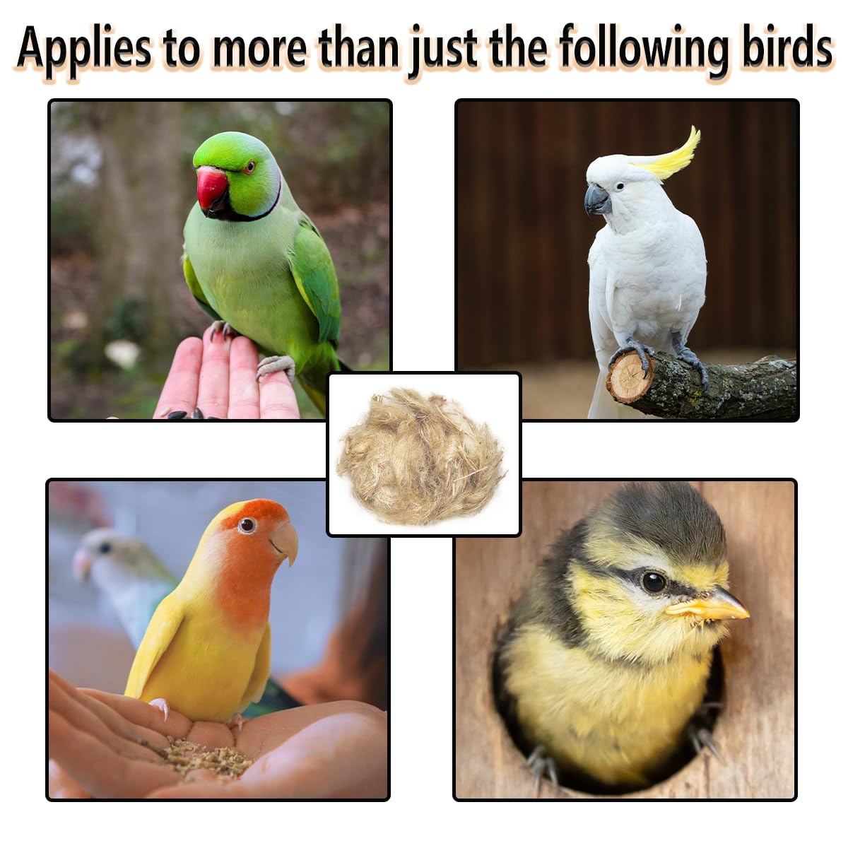 GSYUWIH clean organized bird cage with easy-to-manage nesting materials.
