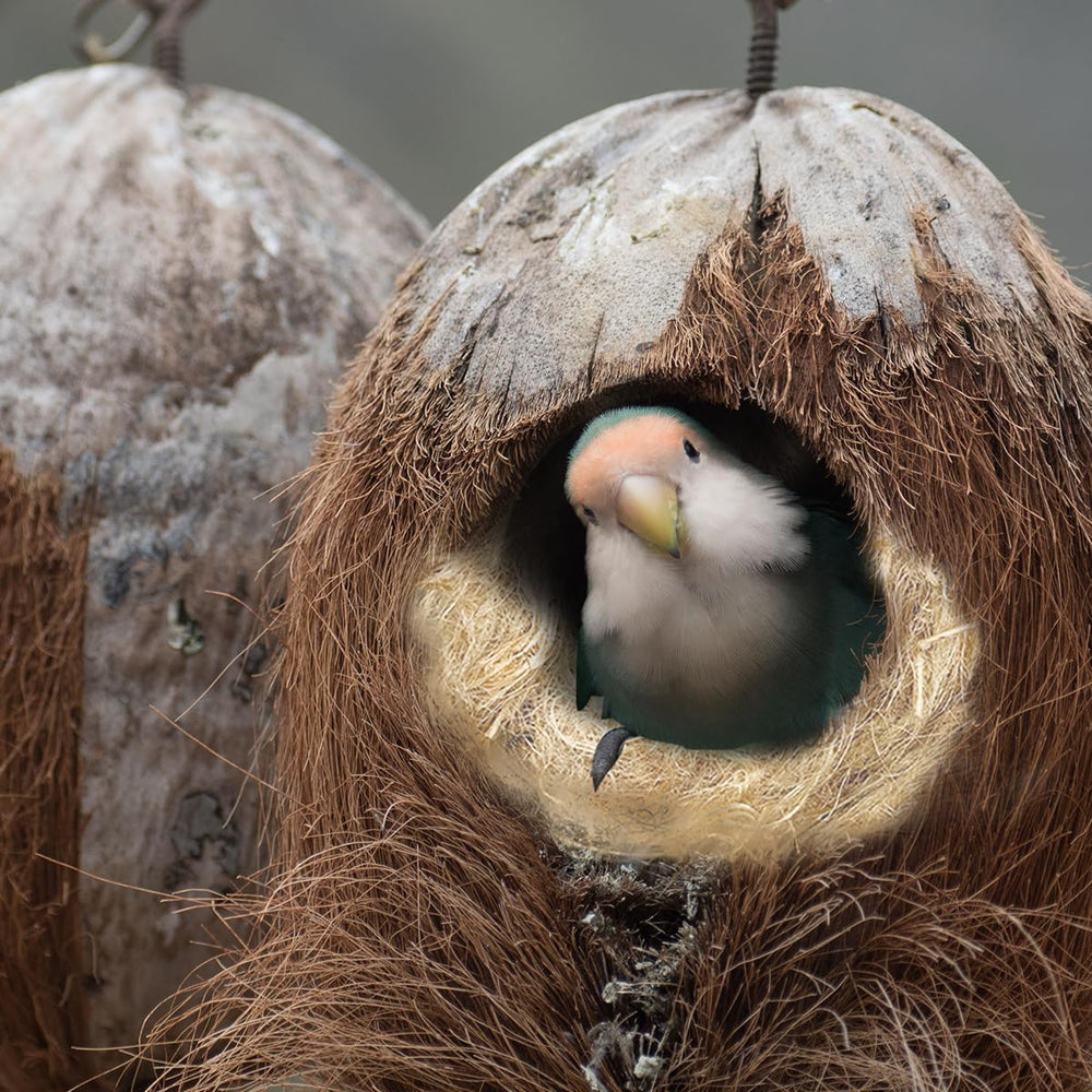 GSYUWIH parrot nesting materials use suited for various birds for safe nesting.