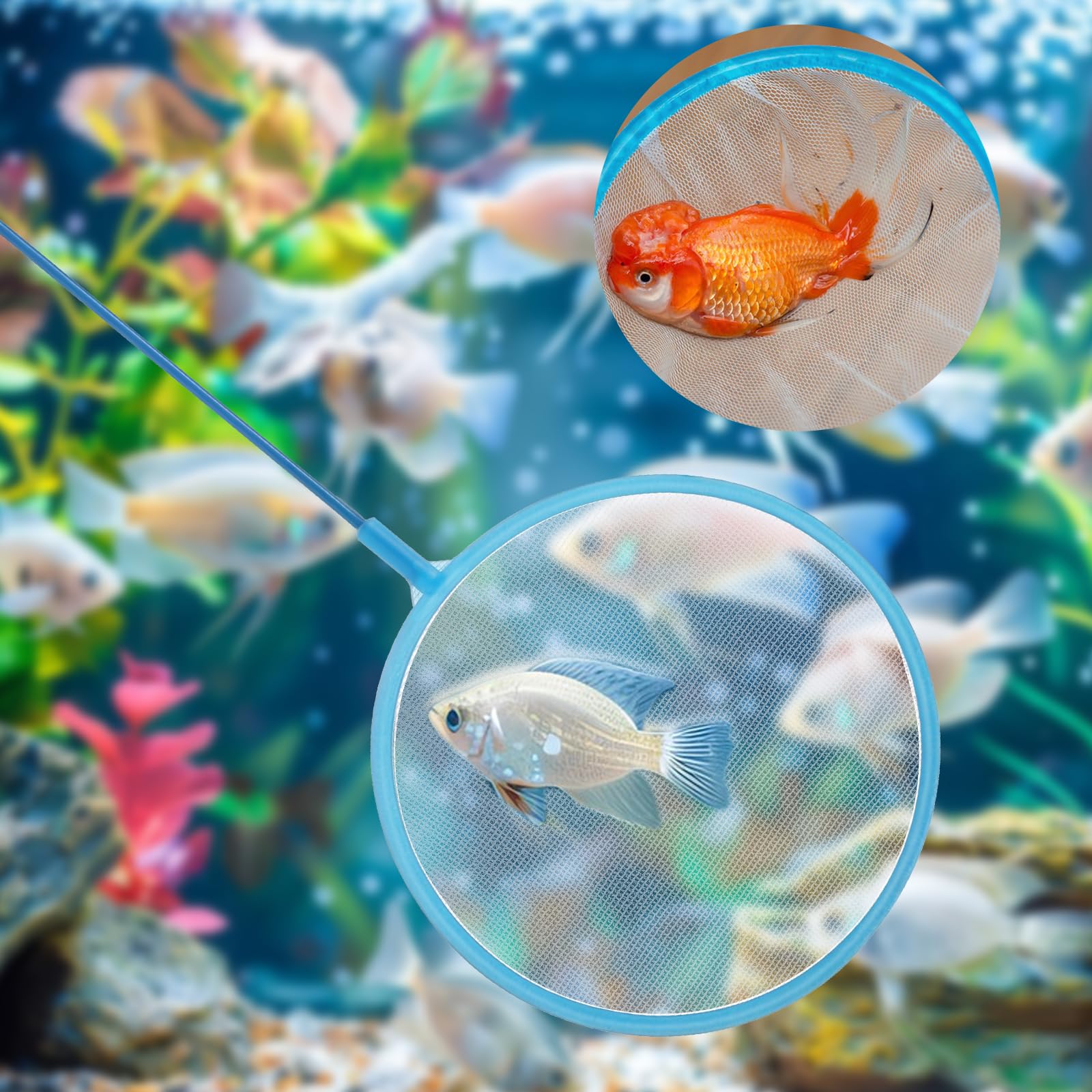 Gtziqa skimmer-net-handle demonstrates ergonomic grip for easy underwater cleaning.