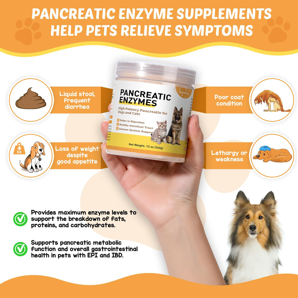 Guanshiya pancreatic enzymes for dogs poured into a bowl for better digestion