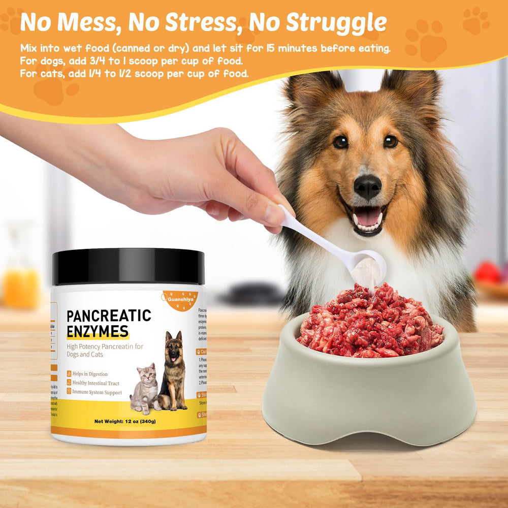 Guanshiya pancreatic enzymes for dogs packaging label highlights digestive support