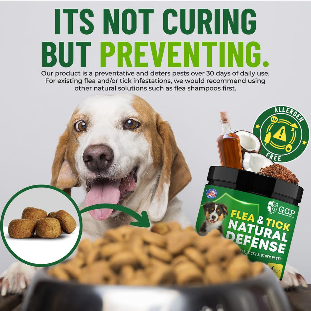 Guardian's Choice chicken-flavored dog chews on table illustrate simple daily flea defense.