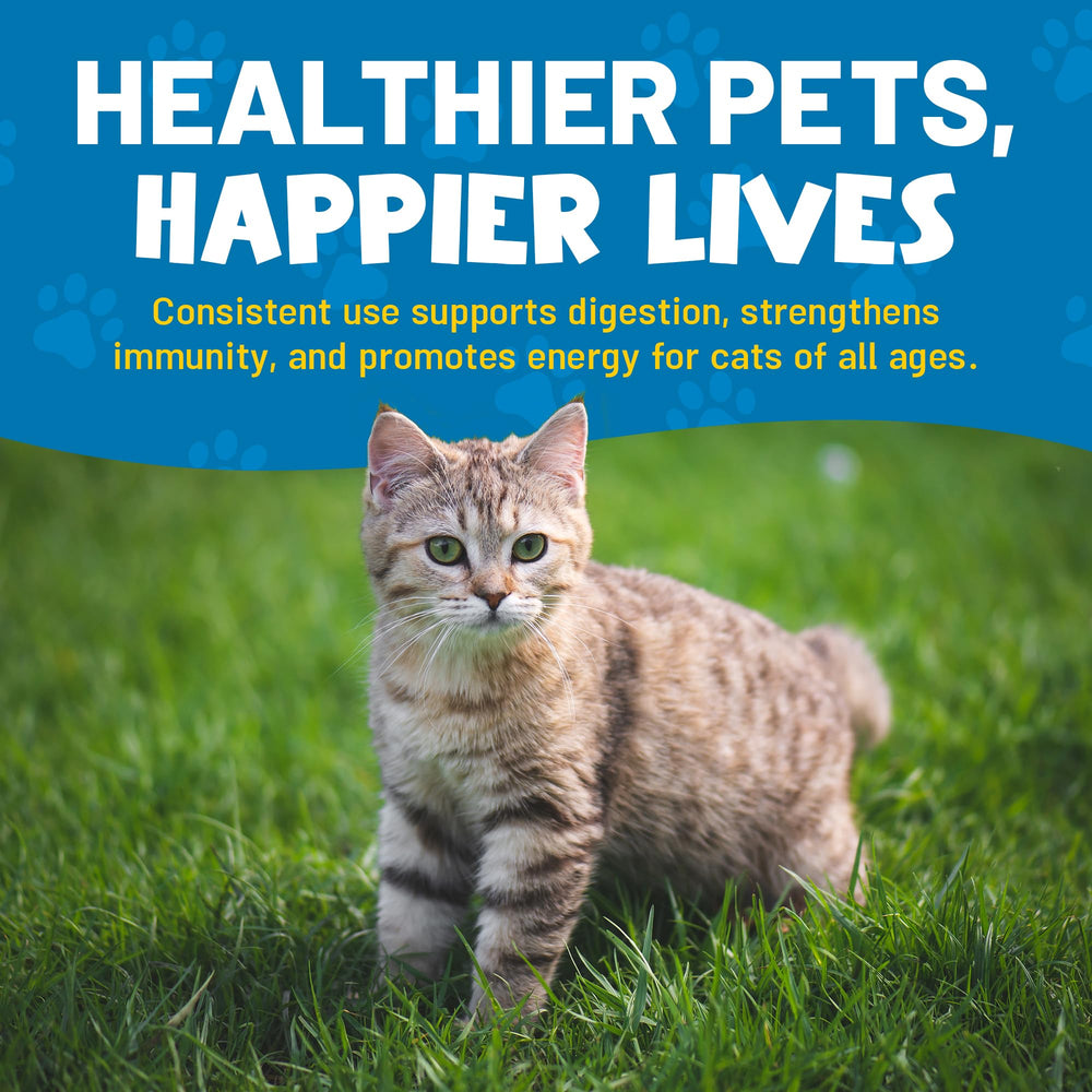 Guardian's Choice Purrbiotics immune-support-illustration suggests gut wellness potential.