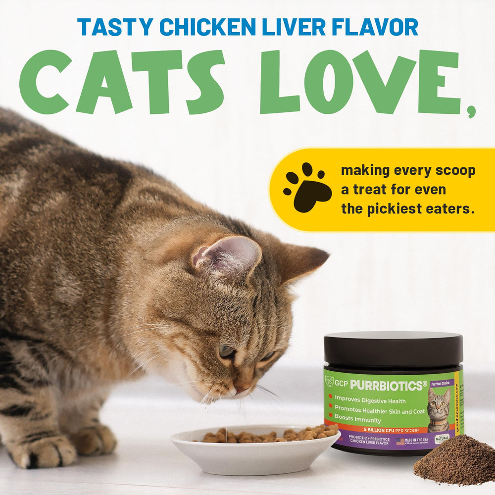 Guardian's Choice Purrbiotics powder-closeup reveals fine texture for quick mixing.