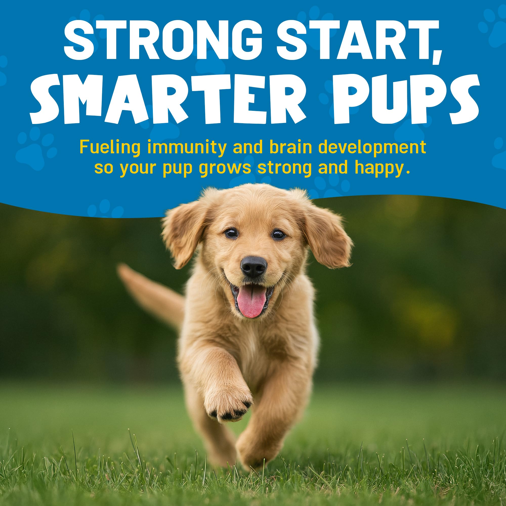 Guardian's Choice VitaPup coat glow close-up showing shiny fur.