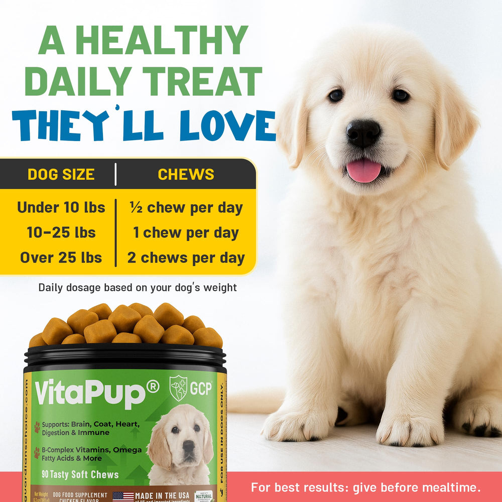 Guardian's Choice VitaPup daily-use jar on shelf reminder.