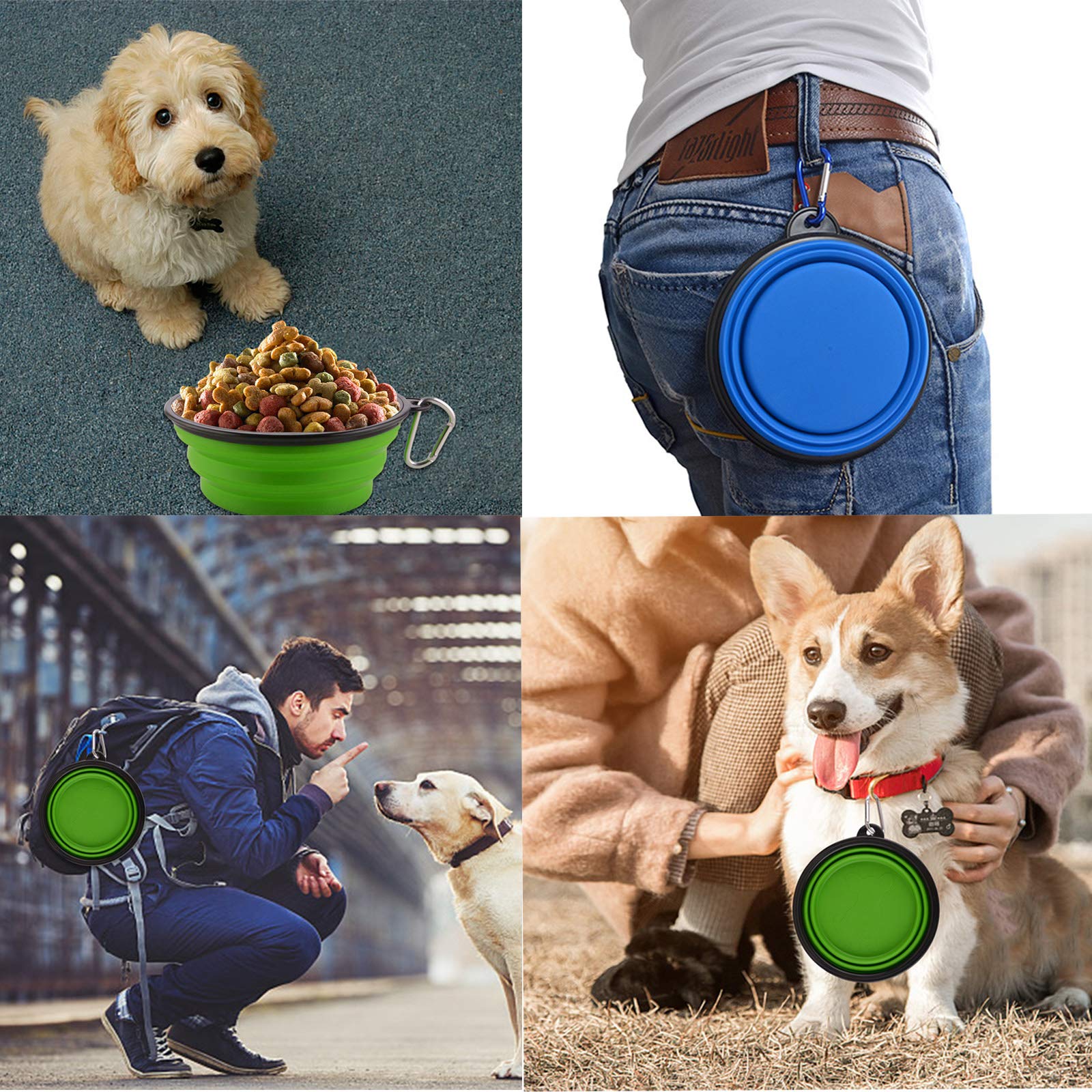 Guardians collapsible dog bowls 34oz green extended for travel hydration