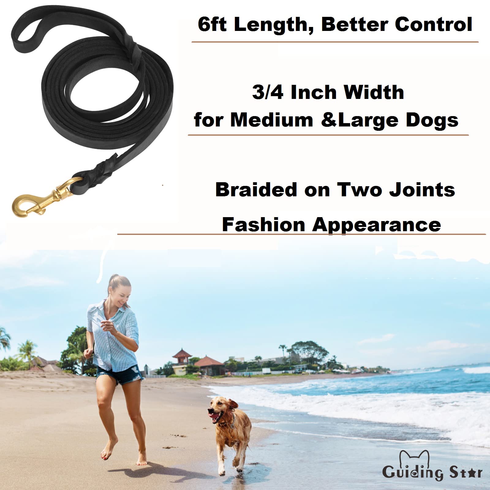 Guiding Star leash 6-foot length ready for safe training and steady control.