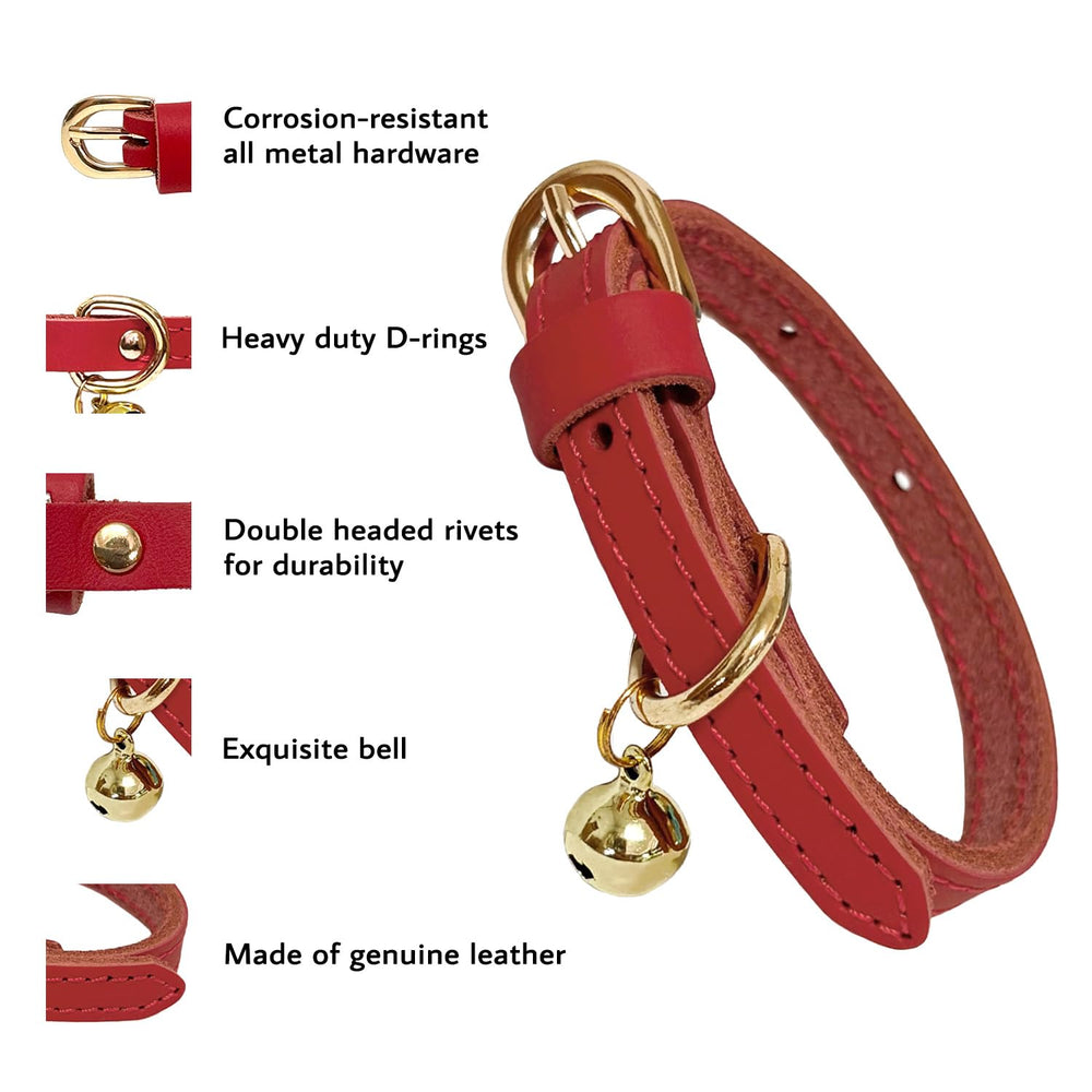 Guiding Star leather collar buckle and D-ring shown during a daily walk for easy leash attachment.