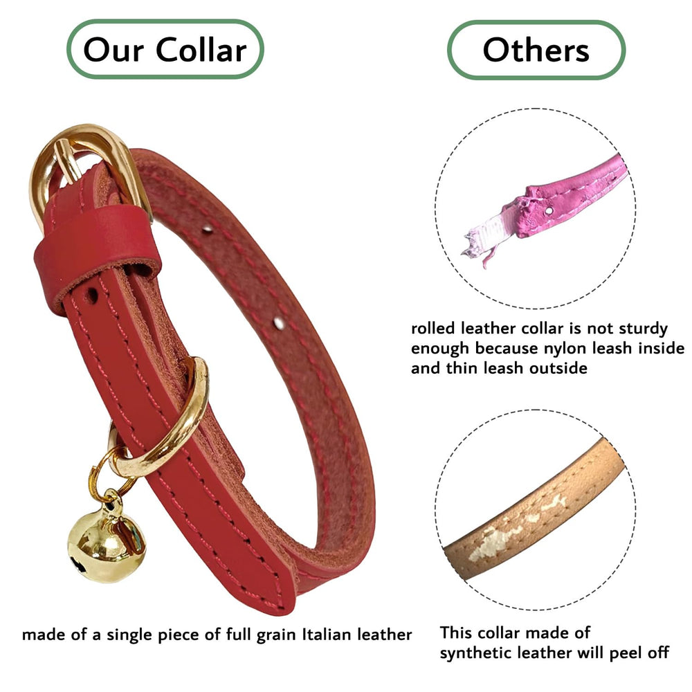 Guiding Star cat collar with bell shows easy identification and audible cue.